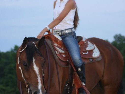 Equestrians love Riffs